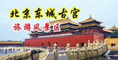 女生鸡巴被操网站中国北京-东城古宫旅游风景区